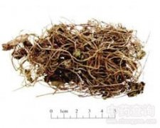 �B�X(qi��n)��