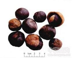 ��_�ӵĹ�Ч�c����