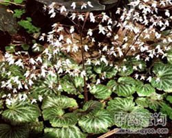 �����ݵĹ�Ч�c����