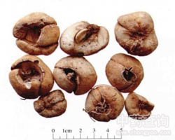 ����ؐĸ�DƬ