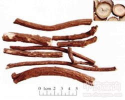 ���ֵĹ�Ч�c����