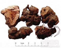 ���w���Ĺ�Ч�c����