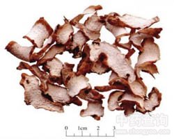 �d���Z�Ĺ�Ч�c����