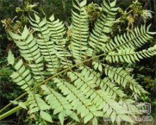 ����h(hu��n)