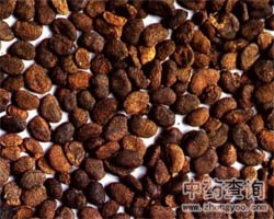 �a��֬�Ĺ�Ч�c����