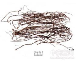 ���L(f��ng)��