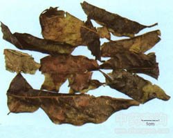 �ඡ��Ĺ�Ч�c����