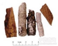 �ȱؑ�(y��ng)