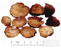 �����Ĺ�Ч�c����