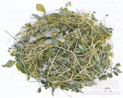 �g���{(l��n)�Ĺ�Ч�c����