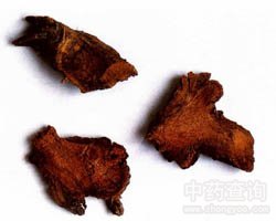 ����Ĺ�Ч�c����