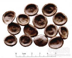 �R�X(qi��n)�ӵĹ�Ч�c����