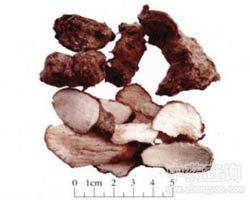 ��ˎ�����߈DƬ