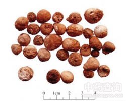 ���ĵĹ�Ч�c����