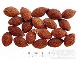 �ִ󺣵Ĺ�Ч�c����