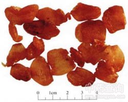 ������Ĺ�Ч�c����