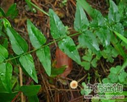 ��ˎŤ���وDƬ