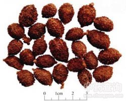 ɰ�ʵĹ�Ч�c����