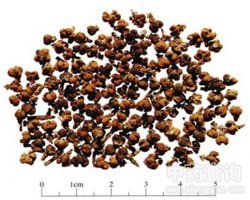 �����ǵĹ�Ч�c����