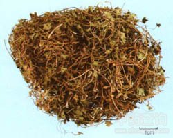 ���{�ݵĹ�Ч�c����