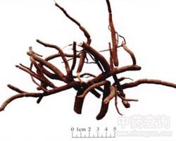 ��ɰ���Ĺ�Ч�c����