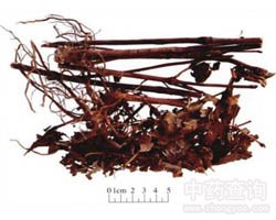 �[��(ji��)�L�Ĺ�Ч�c����