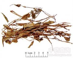 �~�ȲݵĹ�Ч�c����