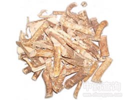 ��ˎ��ָë�DƬ