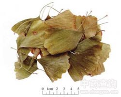 ˎ���y���~�Ĺ�Ч�c����