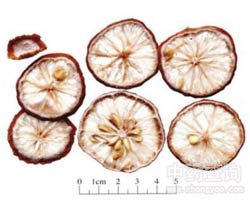 �㙴�Ĺ�Ч�c����