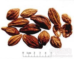 �X�ӵĹ�Ч�c����