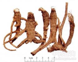 ǰ���Ĺ�Ч�c����