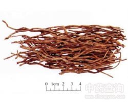 ʯ���Ĺ�Ч�c����