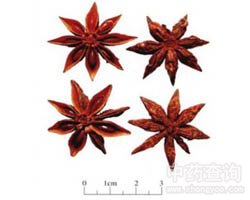 �˽�����Ĺ�Ч�c����