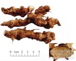 ���ֵĹ�Ч�c����