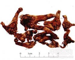 �׼��Ĺ�Ч�c����