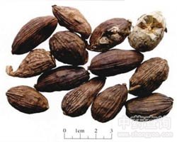 �ݹ��Ĺ�Ч�c����