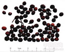 ɜ���ѵĹ�Ч�c����