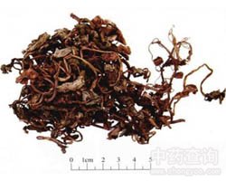 ���X�ݵĹ�Ч�c����