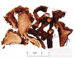 ����ɵĹ�Ч�c����