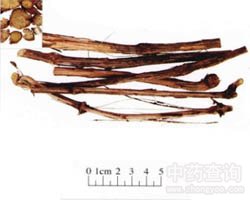 ��ľͨ�Ĺ�Ч�c����