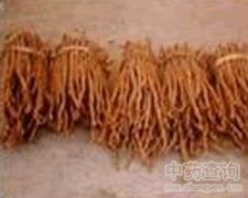 ���C����