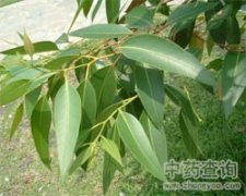 ���~���~