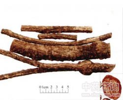 ��Ѫ�ٵĹ�Ч�c����