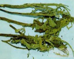 ���L(f��ng)��