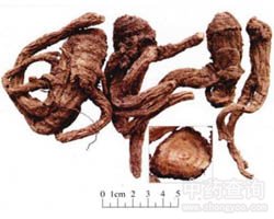 ��(d��)��Ĺ�Ч�c����