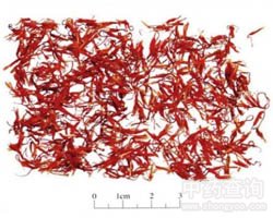 �t���Ĺ�Ч�c����