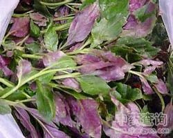 ��ˎ�t����DƬ