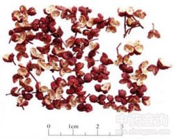 �����Ĺ�Ч�c����