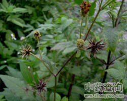 ��ˎ��ᘲ݈DƬ